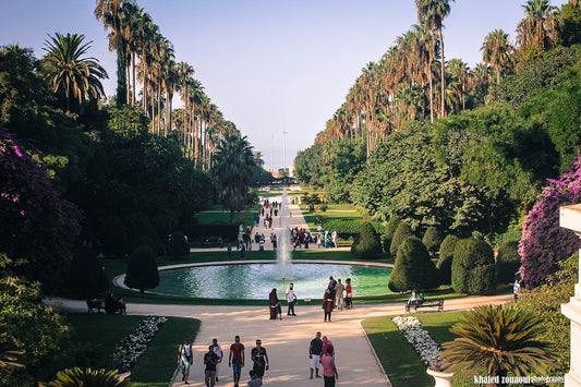 Jardin d'Essai d'Alger : découverte du plus beau parc botanique d'Afrique du Nord